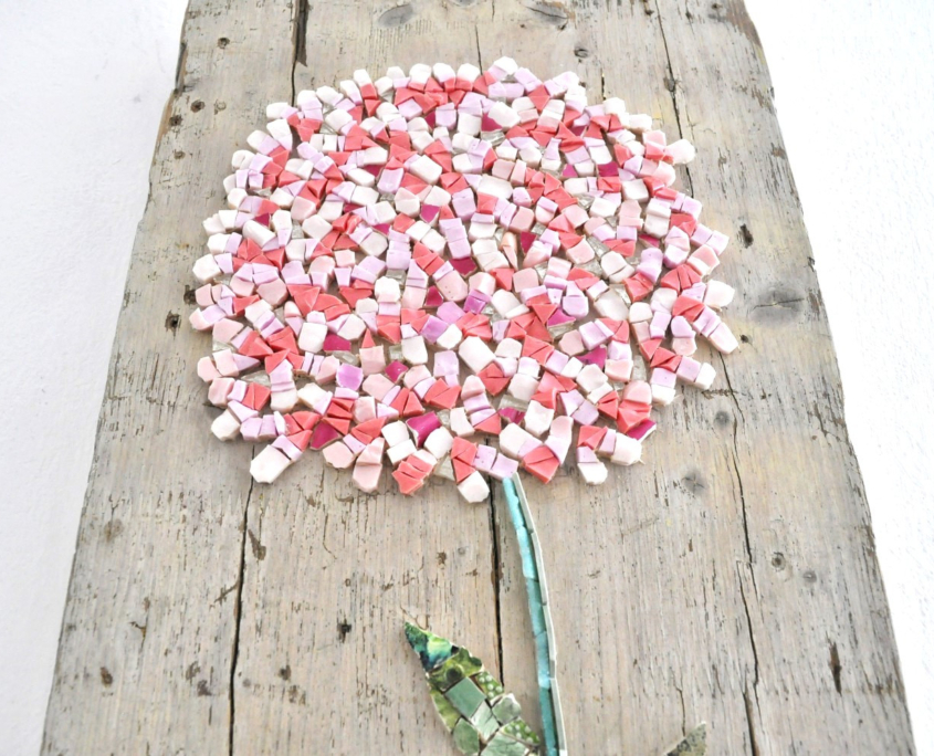 28-2023 Rossella Casadio Ortensia Rosa particolare fiore